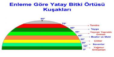 Bitki Örtüsü Çeşitleri